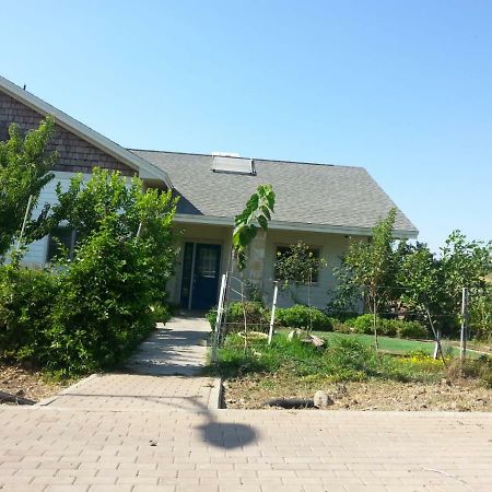 קדמת צבי Villa Luaran gambar