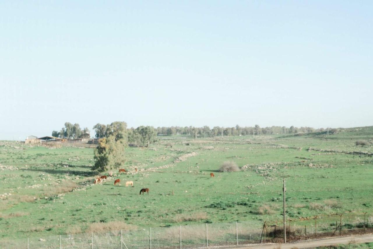 קדמת צבי Villa Luaran gambar